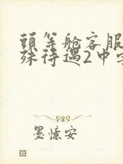 头等舱客服的特殊待遇2中字