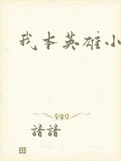 我本英雄小说封面