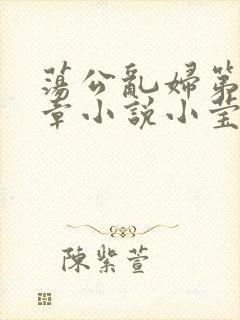 荡公乱妇第51章小说小莹封面