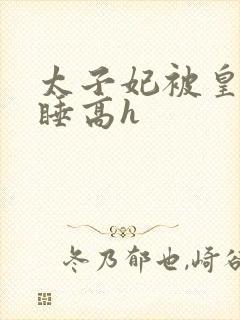 太子妃被皇上强睡高h