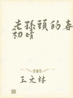 老孙头的春天林初晴