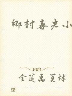 乡村春光小说