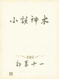 小说神木封面