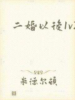 二婚以后1v2封面