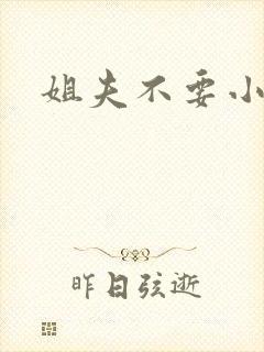 姐夫不要小说