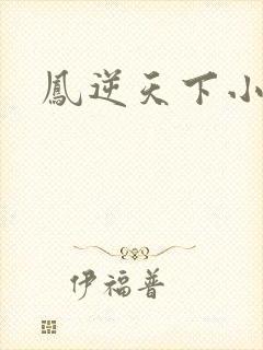 凤逆天下小说封面