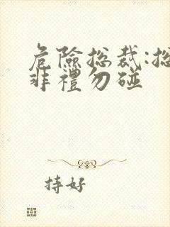 危险总裁:总裁非礼勿碰封面