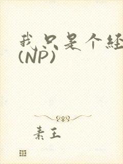 我只是个经纪人(NP)封面