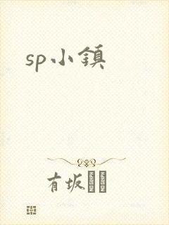 sp小镇封面