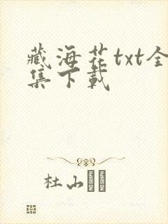 藏海花txt全集下载封面