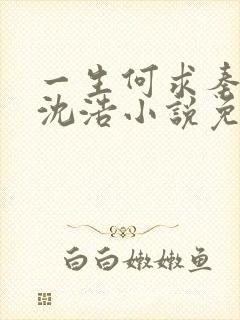 一生何求秦菲雪沈浩小说免费阅读全文