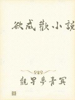 欲成欢小说封面