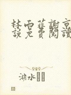 林雨菲谢京墨小说免费阅读笔趣阁