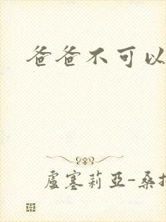 爸爸不可以封面