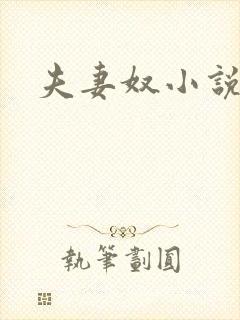 夫妻奴小说封面