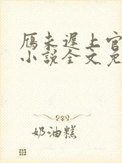 雁未迟上官穿越小说全文免费阅读