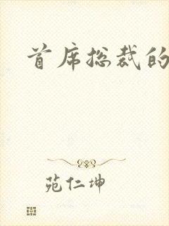 首席总裁的逃妻