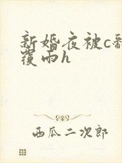 新婚夜被c翻云覆雨h封面