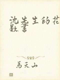 沈先生的花式调数书