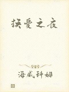 换爱之夜