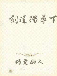 剑道独尊下载封面