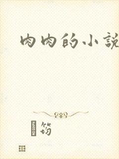 肉肉的小说