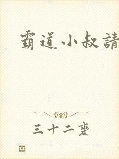 霸道小叔请轻撩封面