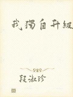 我独自升级小说