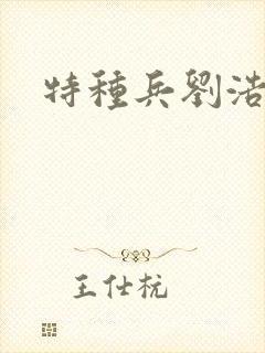 特种兵刘浩封面