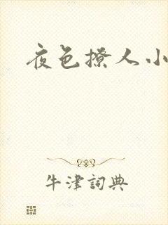 夜色撩人小说