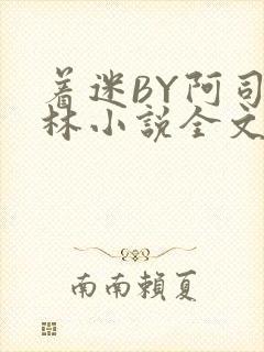 着迷BY阿司匹林小说全文免费阅读