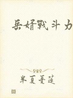 岳婿战斗力封面