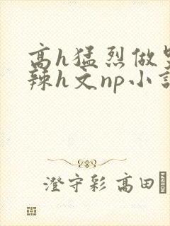 高h猛烈做哭高辣h文np小说