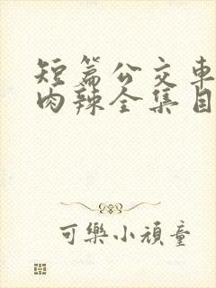 短篇公交车高h肉辣全集目录