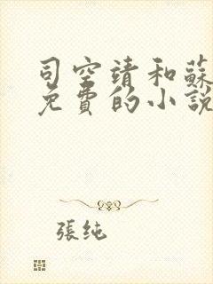 司空靖和苏月汐免费的小说笔趣阁