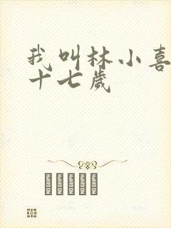 我叫林小喜今年十七岁