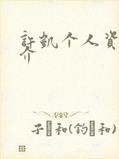 许凯个人资料简介封面