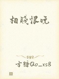 相贱恨晚封面