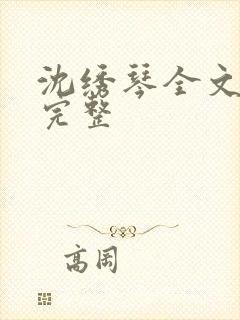 沈绣琴全文阅读完整封面