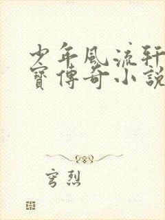 少年风流轩辕大宝传奇小说封面