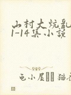 山村大炕乱肉续1-14集小说