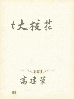t大校花