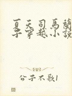 夏天司马兰九皇子穿越小说笔趣阁
