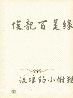 俊龙百美缘小说封面