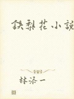 铁梨花小说