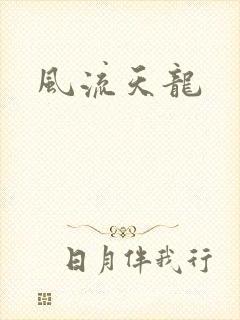 风流天龙封面