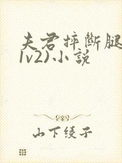 夫君摔断腿后(1v2)小说封面