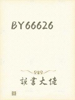 BY66626封面