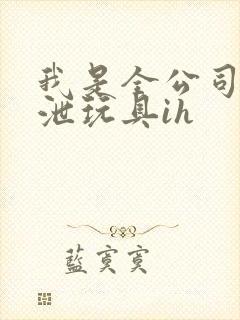 我是全公司的发泄玩具ih