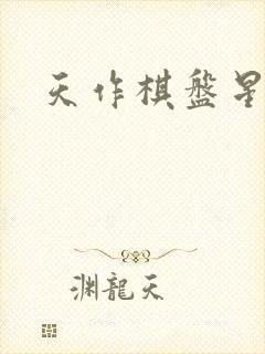 天作棋盘星作子